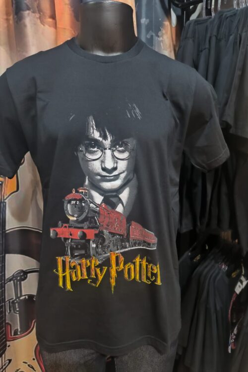 Harry Potter Trem(madrigal)