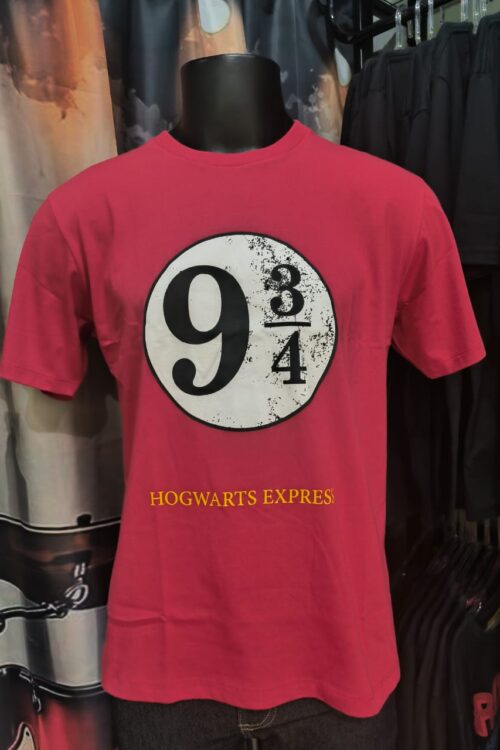 Harry Potter Plataforma 9 3/4 (Madrigal)