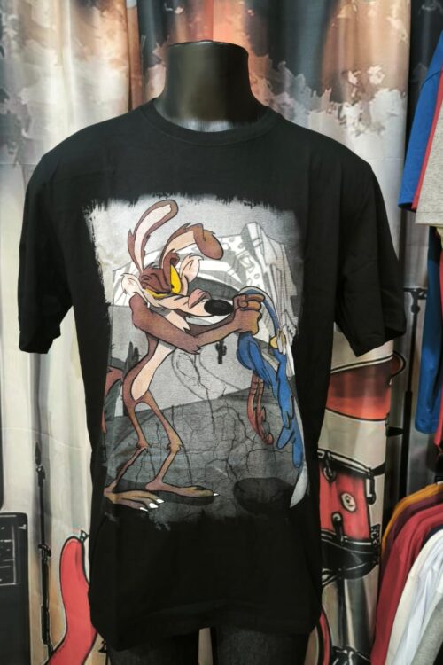 Coyote e PapaLéguas(HCD)