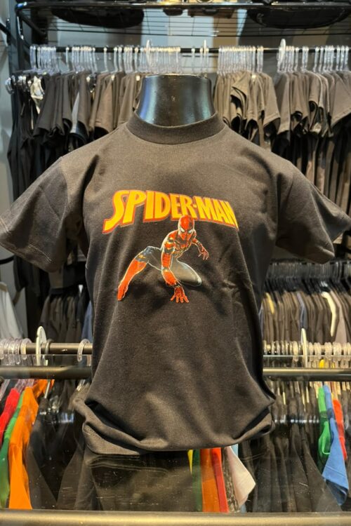 Homem Aranha Infantil (Madrigal)